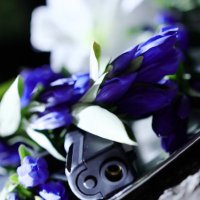 照亜蘭 (@teru_alan_photo) 's Twitter Profile
