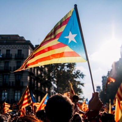 capaperaterra's profile picture. Som i no som.