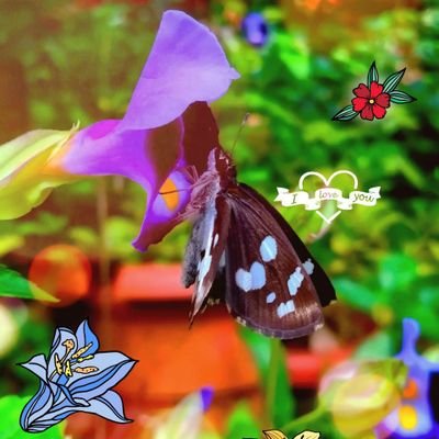 ChunkThaj's profile picture. Thajudeen