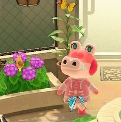 albecrossing's profile picture. Animal Crossing Account 🌻 he/him

Island name: Terranova.

(GMT+2) Spain, Northern Hemisphere