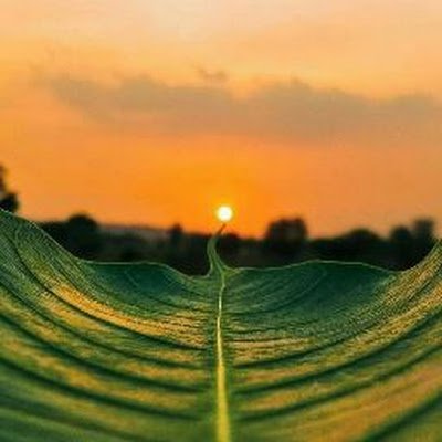 Kumarsanjeev792's profile picture. रसज्ञपादाम्भोजदासः ।