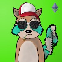 Rekt Racoons NFT (@rektracoons) 's Twitter Profile