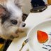 Riku (@riku1230nr) Twitter profile photo Riku (@riku1230nr) Twitter profile photo