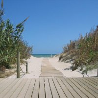 SpanishPilar 🇪🇸🥂💜(@SpanishPilar) 's Twitter Profile Photo SpanishPilar 🇪🇸🥂💜(@SpanishPilar) 's Twitter Profile Photo