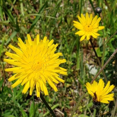 to_chan590720's profile picture. 弁理士試験結果NGで勉強終了（2018）。2020 通信教育の大学法学部3年に編入し、二年半かけて2022年9月になんとか卒業。漢検とTOEICの勉強中。仕事は、メーカー知財部門から、開発、設計部門に異動で、知財二割、設計八割と言う感じ。西国三十三、四国お遍路は二巡目、百名城をうろうろと。何か勉強したいなぁと、思案中。