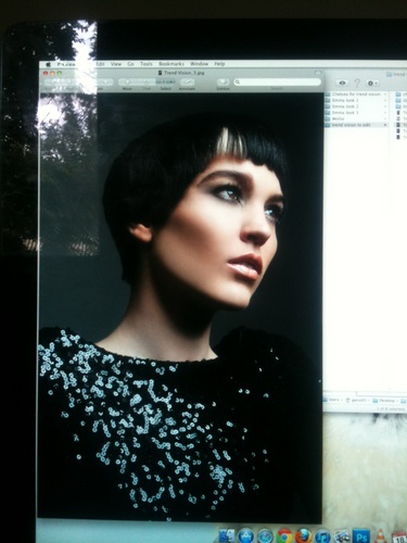 Hair and makeup artist, salon owner, member of Sebastian Urban Design Team ANZ, and part-time thesis writer.