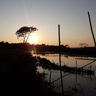 Indiancrypto21's profile picture. 