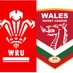 Womens Rugby Wales 🏴󠁧󠁢󠁷󠁬󠁳󠁿 (@WalesWomens) Twitter profile photo