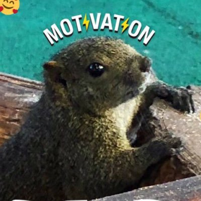 ぽんさんのプロフィール画像
