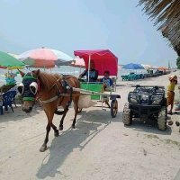 Yujeng (@yujeng39555748) 's Twitter Profile