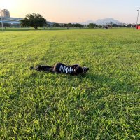 Shu 🤓 the couch photato (@tsutsulin88) 's Twitter Profile