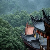 China's Photographer (@photos_china) 's Twitter Profile