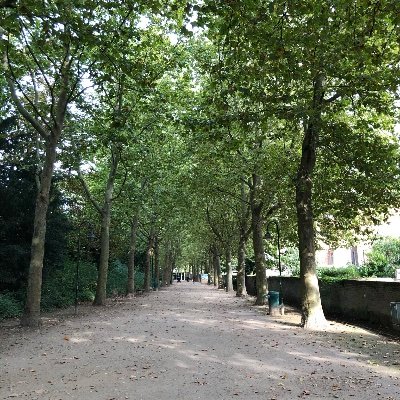 KU Leuven MA Anthropology 2021~/🏴大学→🇯🇵で会社員生活約10年→2021年🇧🇪ベルギー大学院/夫はフランス人🇫🇷/8歳、6歳、4歳の母/🇧🇪ベルギー在住/リアルな繋がり•友達も募集中です☺️気軽にメッセージお待ちしてます✨