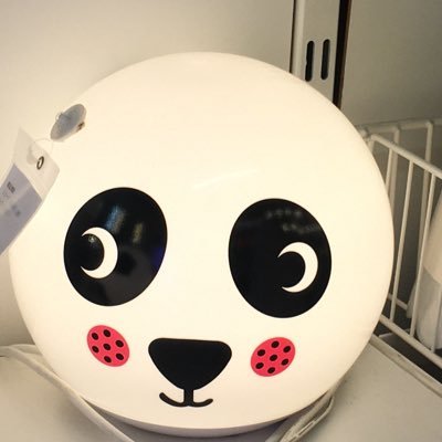 ゆのはち👑🐃🦋✨ (@yuno_KingGnu) / Posts / X