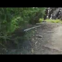 Paul Speyer (@paul_speyer) 's Twitter Profile