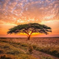 Aus_toh (@aust_okoth) 's Twitter Profile Photo Aus_toh (@aust_okoth) 's Twitter Profile Photo