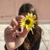 Eli Sarfati (@sarfatieli) Twitter profile photo Eli Sarfati (@sarfatieli) Twitter profile photo
