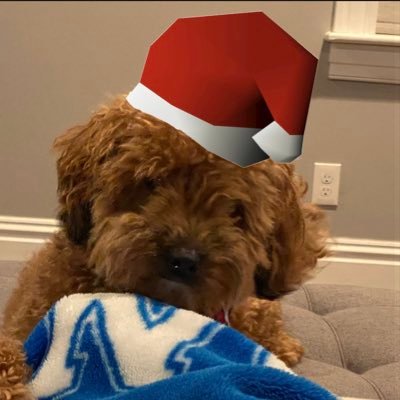 finley_rs's profile picture. Casual OSRS Player