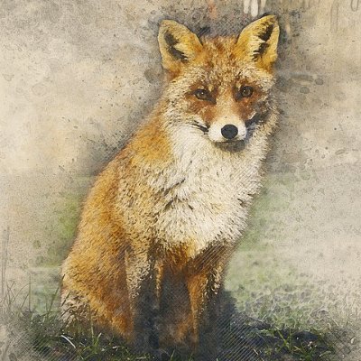 British Canid Historical Societyさんのプロフィール画像