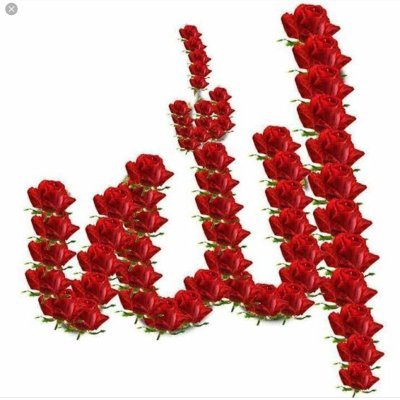 eylulfuarmuhase's profile picture. 