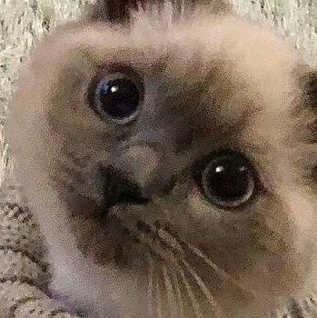 Типа художник, и типа со стажем.
А еще я хрень всякую пишу))
✨✨✨