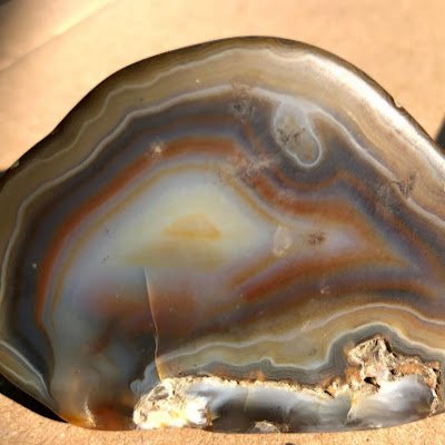 DianeHanks15's profile picture. mom, grandma