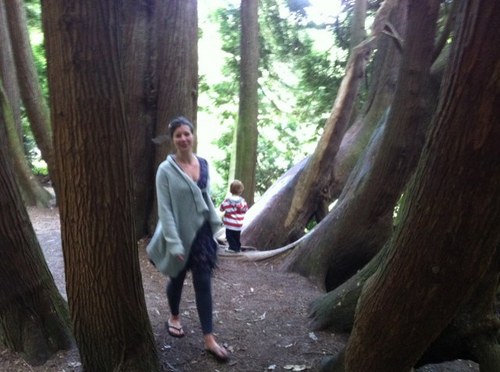 soggybigtoe's profile picture. 