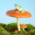 🍁🍂🍃MushroomToad🍃🍂🍁 (@MushroomToadYup) Twitter profile photo