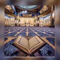 عامر البصيرات (@ddh5bc9pti5xc3h) Twitter profile photo