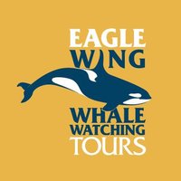 Eagle Wing Tours(@eaglewingtours) 's Twitter Profile Photo