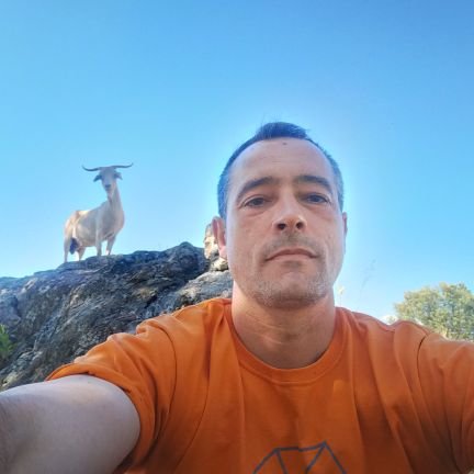 ramn_bonilla's profile picture. Coordinador Club Deportivo GSD Guadarrama.
Profesor FP.