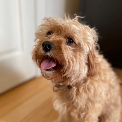 CharlieP47's profile picture. Been up been Active