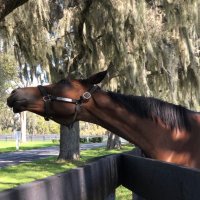 Bradkeller (@bradkellerpsu) 's Twitter Profile