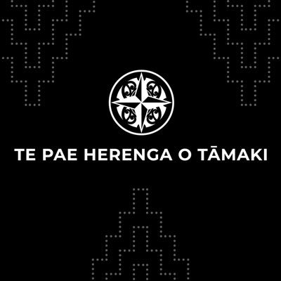 TĀMAKI WHĀNAU ORA COLLECTIVE | Iwi, Urban Māori & Māori Providers Whānau Ora Collective | For Māori By Māori To Māori | Whānau Wellbeing|