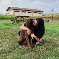 Aysen Simseker (@aysensimseker) Twitter profile photo