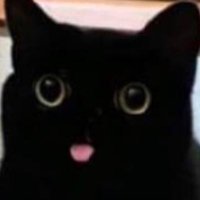 Sleepy_Sin (@sleepyxsin) 's Twitter Profile Photo Sleepy_Sin (@sleepyxsin) 's Twitter Profile Photo