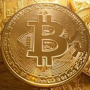 CriptoNew2's profile picture. Your crypto news