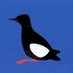 Bangor Marina & Harbour (@bangormarina) Twitter profile photo Bangor Marina & Harbour (@bangormarina) Twitter profile photo