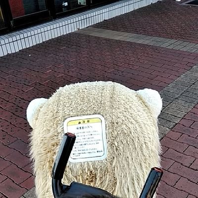 ponsukemarurun's profile picture. どーもくん