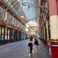 Hannah McAuliffe (@hanmcauliffe) 's Twitter Profile