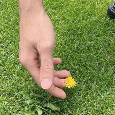 sakuramochi5311's profile picture. とってもオトナCARAT 娘もCARAT SEVENTEENを応援したいだけのアカウントです