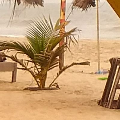 Lamino100's profile picture. Be good to people