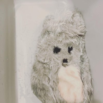 funfun_choitoy's profile picture. ファービーと仲間たち専用のアカウント作りました。よろしくお願いします。#マイネームイズフンフン 本家は👉 @choitoy_poutou