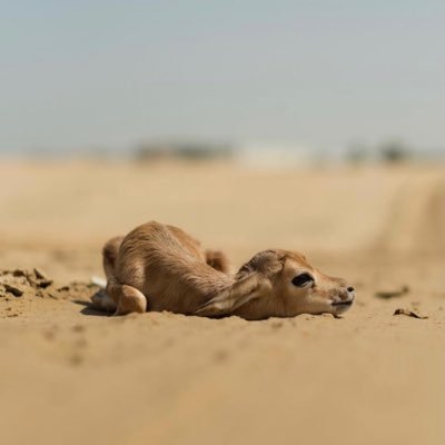 ’آلَلْہ يديم الناس ....... الي شوفتهـم تفرحنٍٍا..      https://t.co/cnY9OfXMZw