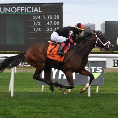 periodista deportiva información para gulfstream park