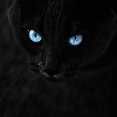 Bryan_SGG0621's profile picture. Sonríe! Esa es la actitud.