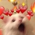 ttukbaegii's profile picture. 난 당신의 트친. 님은 날거부할 수 없으셈