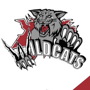 The official Twitter page for the Southwest Wildcats of the PWHL and OWHA.