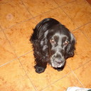 juan belmonte - @belmontejuan2 - Twitter