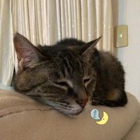 Hikaru Russeau @映画『宝島』2025公開! (@hikaru0326) 's Twitter Profile Photo Hikaru Russeau @映画『宝島』2025公開! (@hikaru0326) 's Twitter Profile Photo